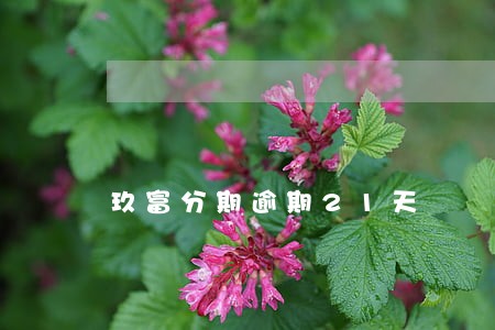 玖富分期逾期21天