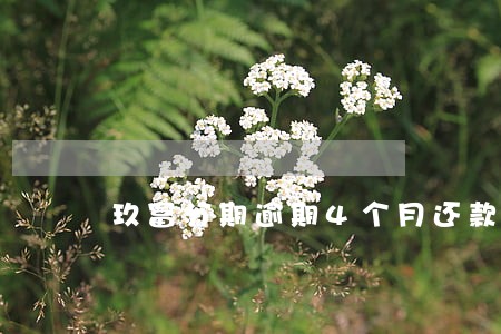 玖富分期逾期4个月还款 玖富分期逾期4个月还款