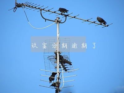 玖富分期逾期了
