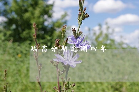 玖富分期逾期四年 玖富分期逾期四年