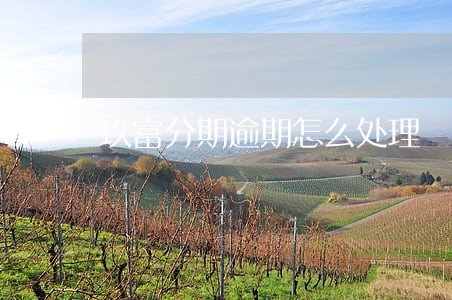 玖富分期逾期怎么处理 玖富分期逾期怎么处理