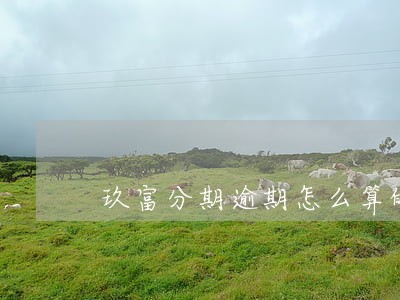 玖富分期逾期怎么算的 玖富分期逾期怎么算的