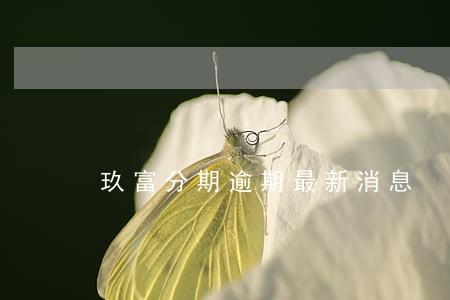 玖富分期逾期最新消息
