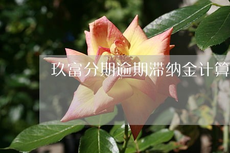玖富分期逾期滞纳金计算 玖富分期逾期滞纳金计算