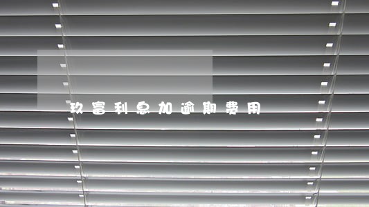 玖富利息加逾期费用 玖富利息加逾期费用
