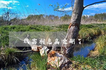 玖富利息高逾期了 玖富利息高逾期了