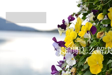 玖富千万卡逾期怎么解决 玖富千万卡逾期怎么解决