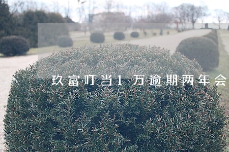 玖富叮当1万逾期两年会章 玖富叮当1万逾期两年会章