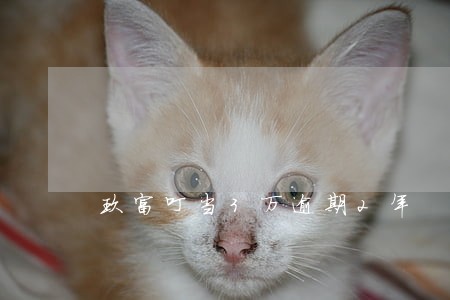 玖富叮当3万逾期2年 玖富叮当3万逾期2年