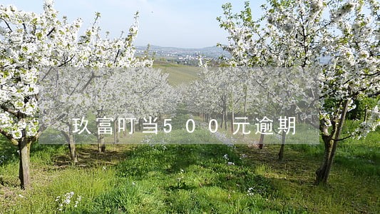 玖富叮当500元逾期 玖富叮当500元逾期