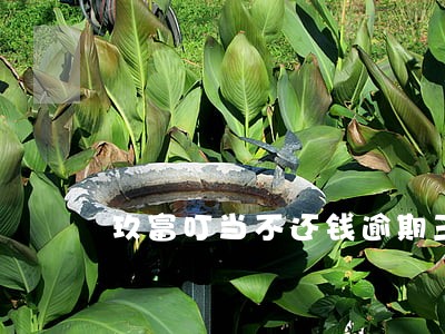 玖富叮当不还钱逾期三年 玖富叮当不还钱逾期三年