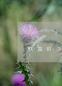 玖富叮当五万逾期一年 玖富叮当五万逾期一年