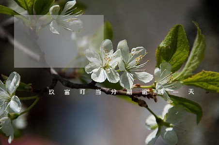 玖富叮当分期逾期一天 玖富叮当分期逾期一天