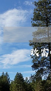 玖富叮当可以逾期几天 玖富叮当可以逾期几天