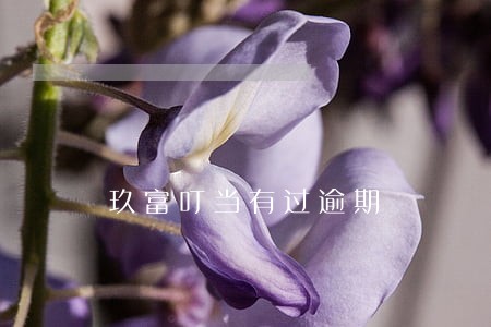 玖富叮当有过逾期 玖富叮当有过逾期