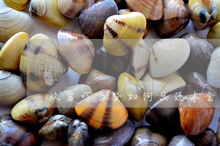 玖富叮当贷如何只还本金 玖富叮当贷如何只还本金