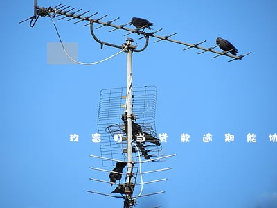 玖富叮当贷款逾期能协商吗 玖富叮当贷款逾期能协商吗