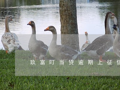 玖富叮当贷逾期上征信吗 玖富叮当贷逾期上征信吗