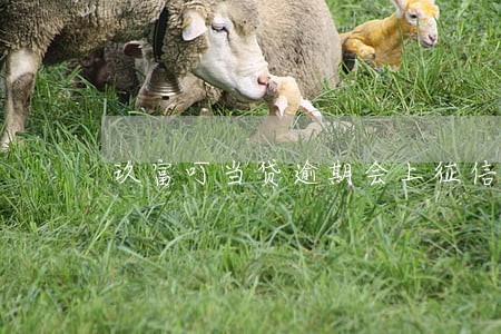 玖富叮当贷逾期会上征信吗 玖富叮当贷逾期会上征信吗