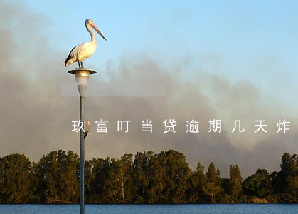 玖富叮当贷逾期几天炸 玖富叮当贷逾期几天炸