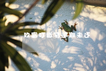 玖富叮当贷逾期未还 玖富叮当贷逾期未还