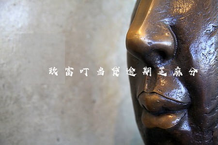 玖富叮当贷逾期芝麻分