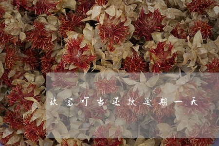 玖富叮当还款逾期一天 玖富叮当还款逾期一天
