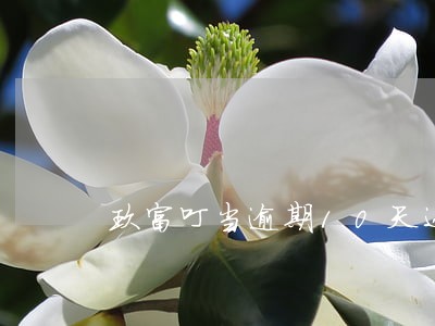 玖富叮当逾期10天还了还能借吗 玖富叮当逾期10天还了还能借吗