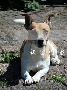 玖富叮当逾期2个月 玖富叮当逾期2个月