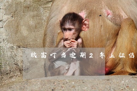 玖富叮当逾期2年上征信 玖富叮当逾期2年上征信