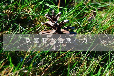 玖富叮当逾期4万 玖富叮当逾期4万
