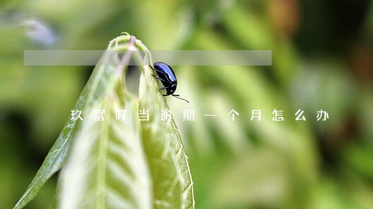 玖富叮当逾期一个月怎么办 玖富叮当逾期一个月怎么办