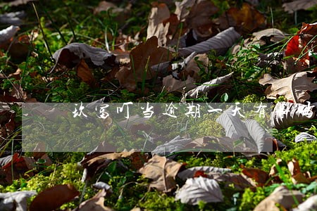 玖富叮当逾期一天有事吗 玖富叮当逾期一天有事吗
