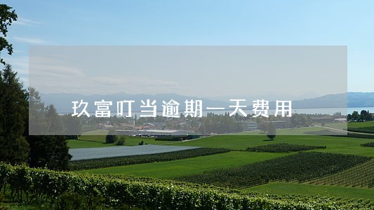 玖富叮当逾期一天费用 玖富叮当逾期一天费用
