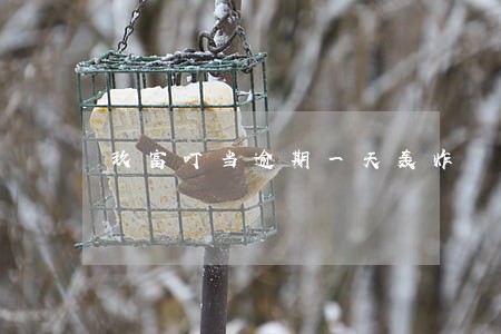 玖富叮当逾期一天轰炸 玖富叮当逾期一天轰炸