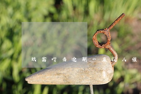 玖富叮当逾期一直没人催收 玖富叮当逾期一直没人催收
