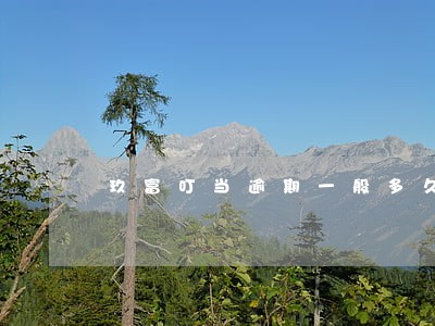 玖富叮当逾期一般多久 玖富叮当逾期一般多久