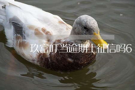 玖富叮当逾期上征信吗6 玖富叮当逾期上征信吗6