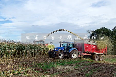 玖富叮当逾期上老赖么 玖富叮当逾期上老赖么