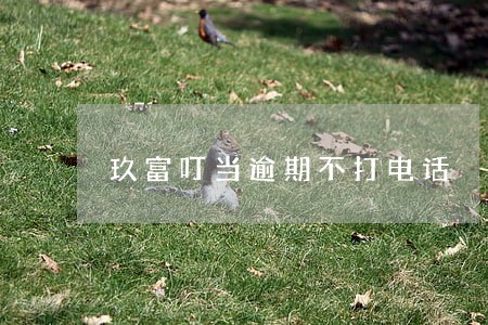 玖富叮当逾期不打电话 玖富叮当逾期不打电话
