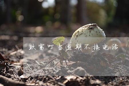 玖富叮当逾期不接电话 玖富叮当逾期不接电话