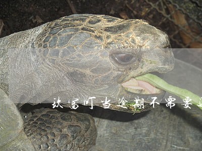 玖富叮当逾期不需要还 玖富叮当逾期不需要还