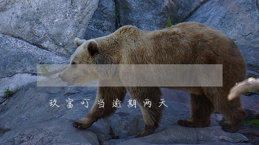 玖富叮当逾期两天 玖富叮当逾期两天
