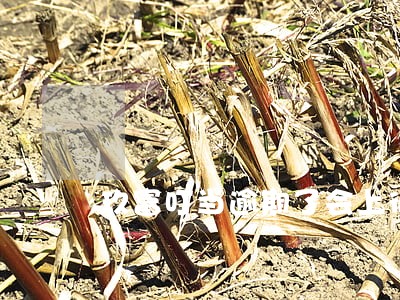 玖富叮当逾期了会上征信吗 玖富叮当逾期了会上征信吗