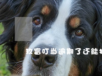 玖富叮当逾期了还能打电话吗 玖富叮当逾期了还能打电话吗