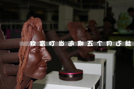 玖富叮当逾期五个月还能借吗 玖富叮当逾期五个月还能借吗