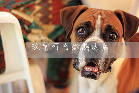 玖富叮当逾期以后 玖富叮当逾期以后