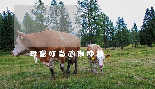 玖富叮当逾期仲裁 玖富叮当逾期仲裁