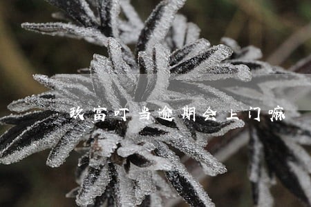 玖富叮当逾期会上门嘛 玖富叮当逾期会上门嘛