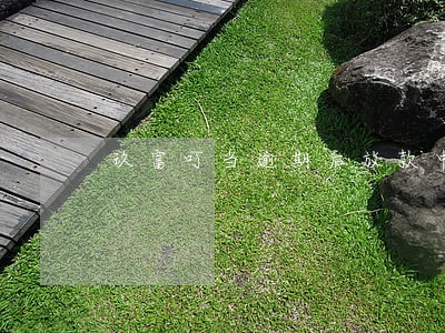 玖富叮当逾期后放款中 玖富叮当逾期后放款中